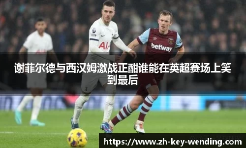 谢菲尔德与西汉姆激战正酣谁能在英超赛场上笑到最后